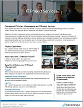 IT Project Services Slick Downloadable
