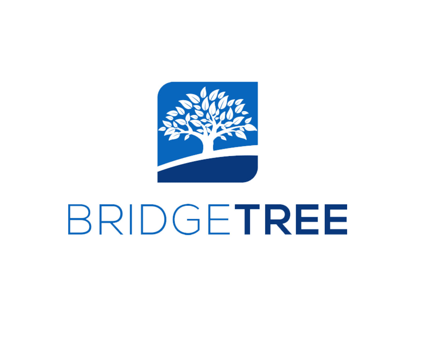 Bridgetree