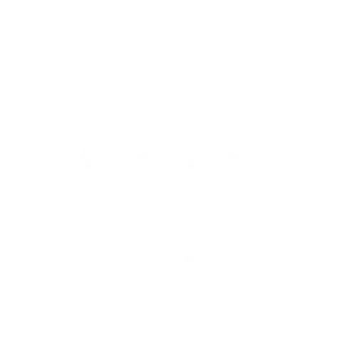 Veeam Platinum Partner Dataprise