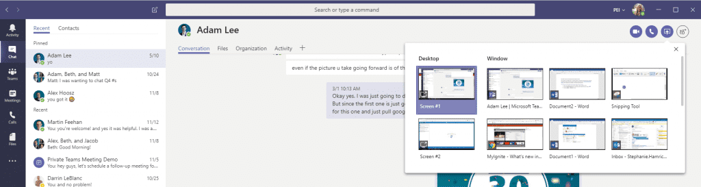 Share Screen screenshot